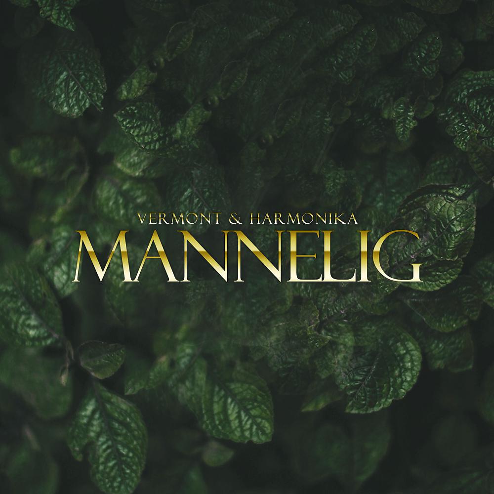 Постер альбома Mannelig