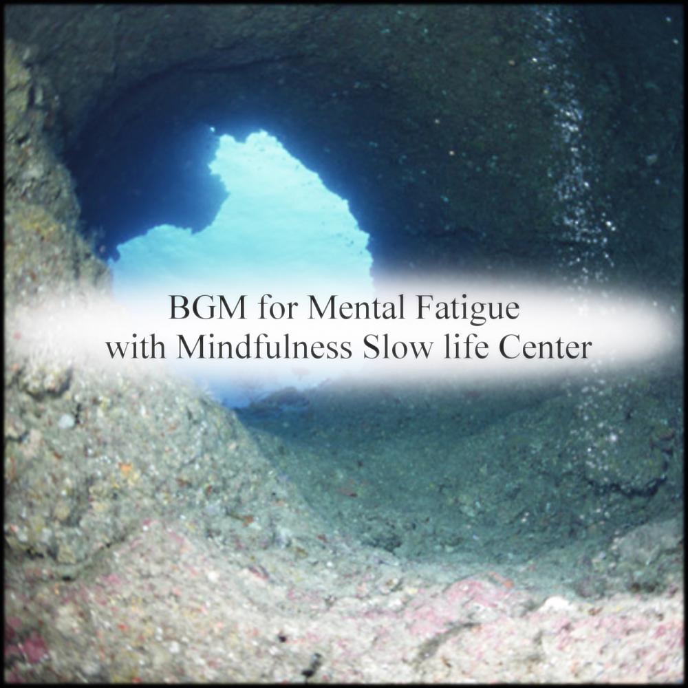 Постер альбома BGM for Mental Fatigue with Mindfulness Slow life Center