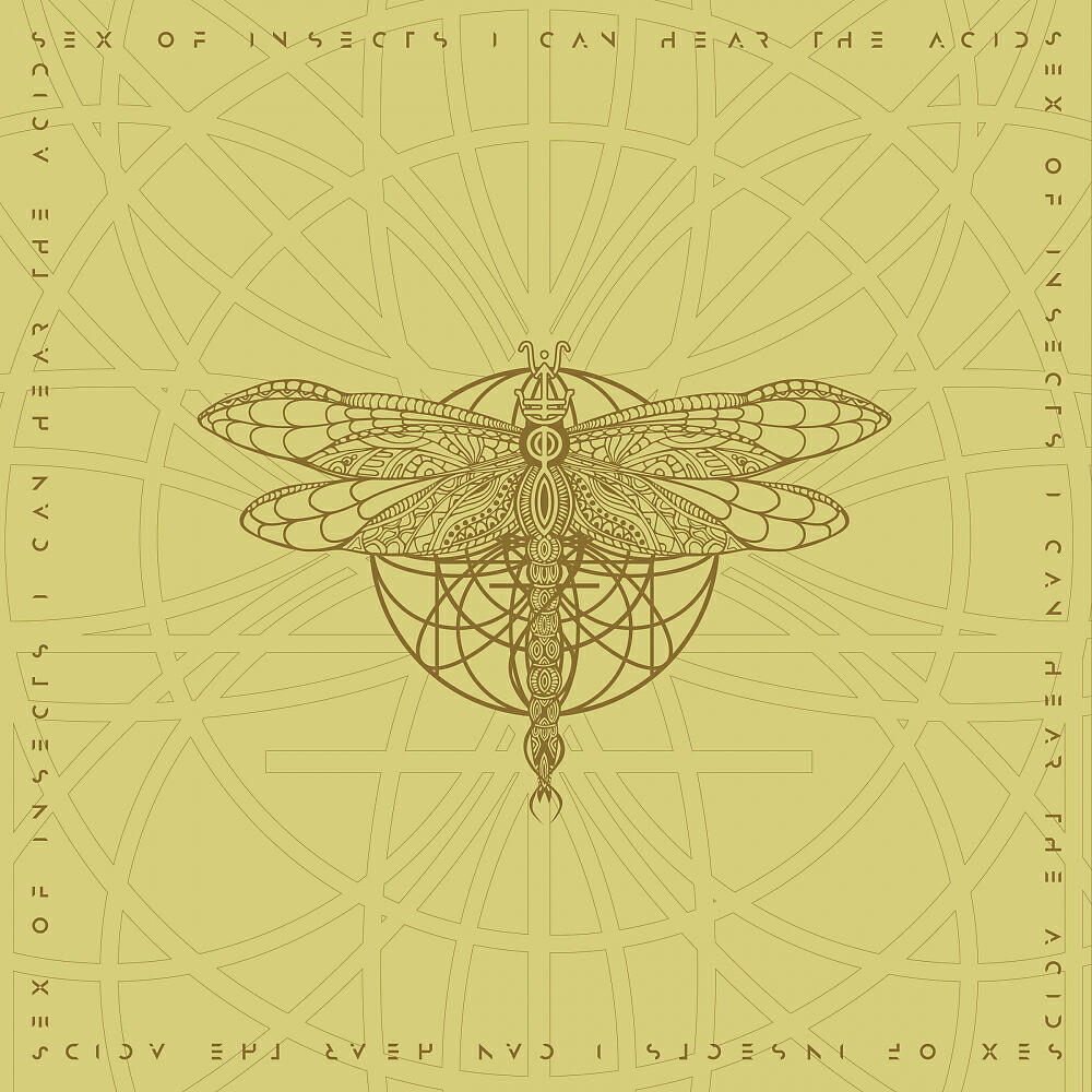 Sex Of Insects - I Can Hear The Light (Anatoly Ylotana Acid Whisper Remix)