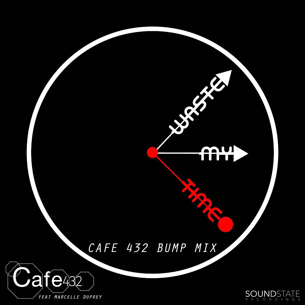Постер альбома Waste My Time (Cafe 432 Bump Mix)