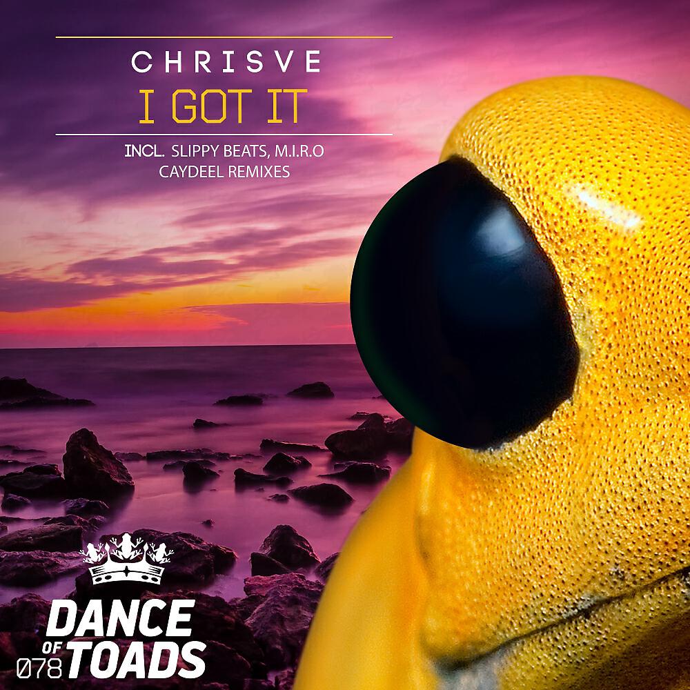 ChrisVe - I Got It (M.I.R.O Remix)