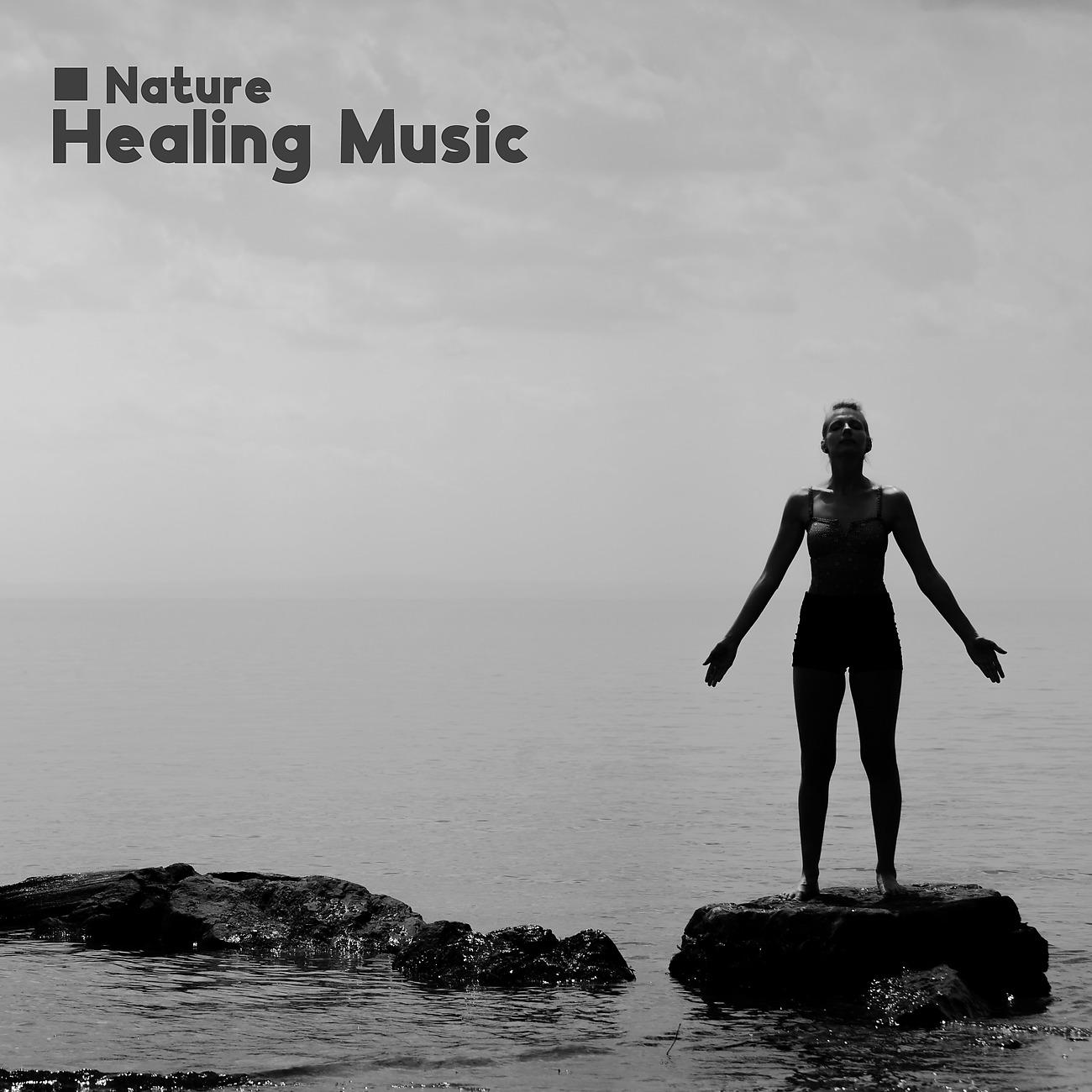Постер альбома Nature Healing Music