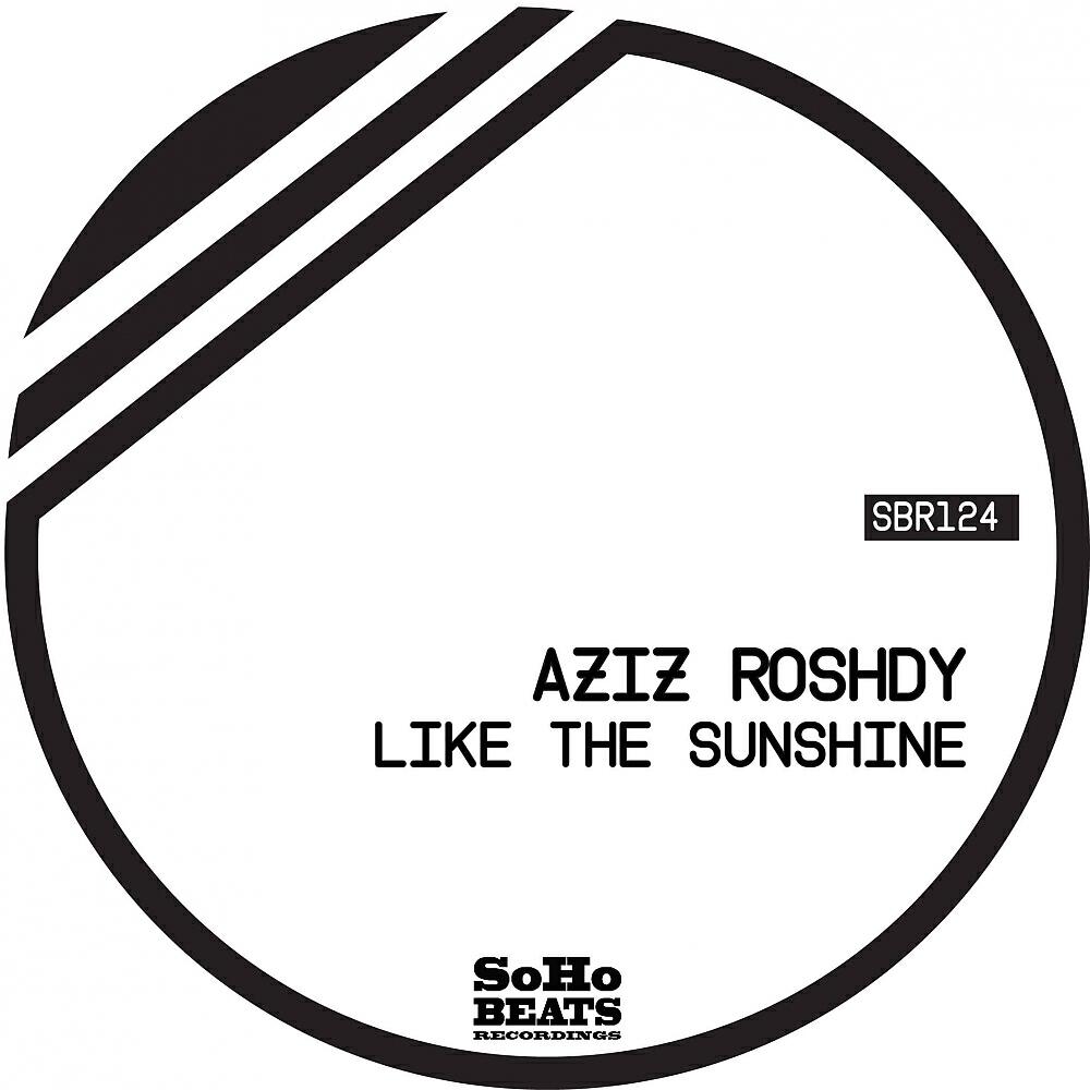 Aziz Roshdy - You Will Never Find Another Love Like Mine (Original Mix)