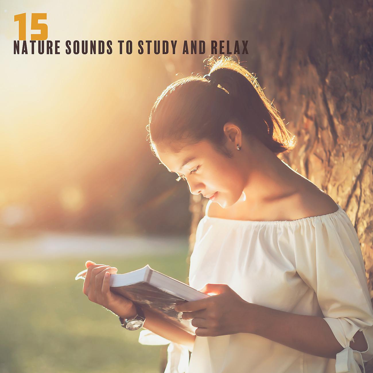 Постер альбома 15 Nature Sounds to Study and Relax for Restless and Hyperactive Minds