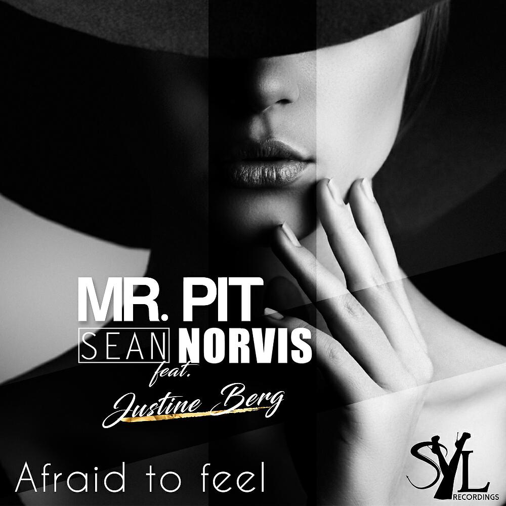 Mr. Pit - Afraid To Feel (Radio Edit)