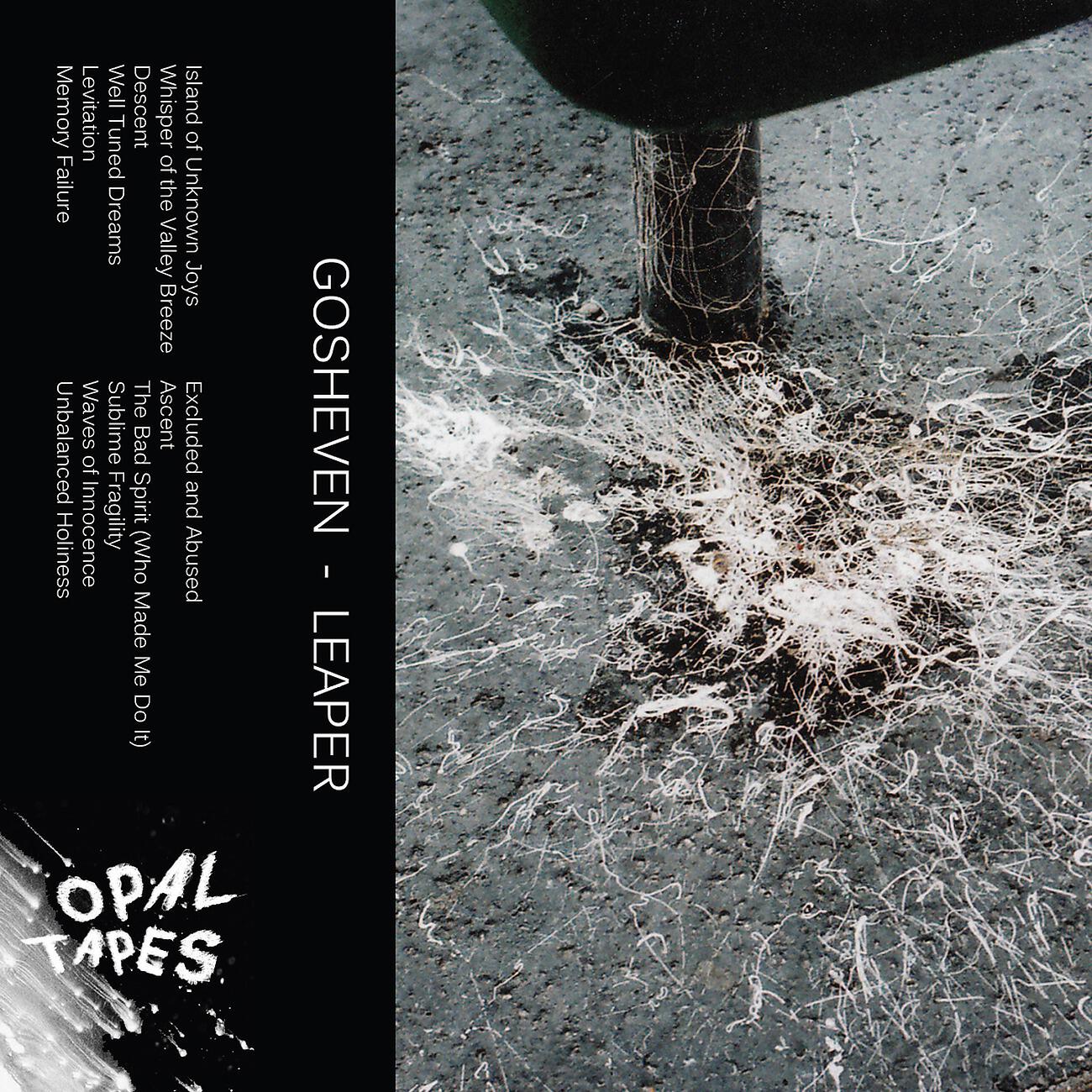 Gosheven - Excluded And Abused