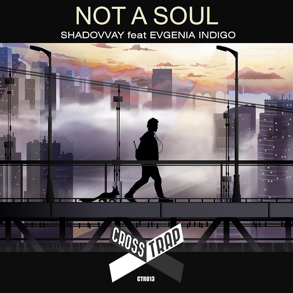 Постер альбома Not A Soul