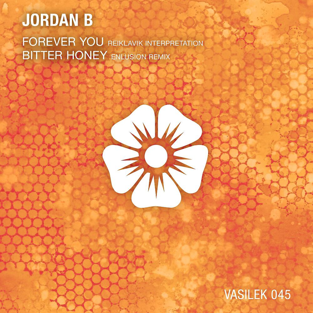 Jordan B - Forever You (Reiklavik Interpretation)