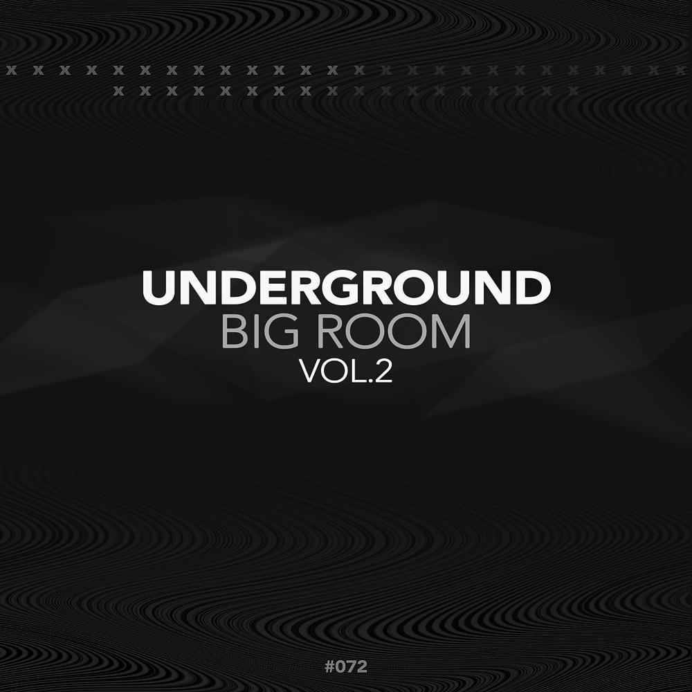 Постер альбома Underground Big Room, Vol. 2