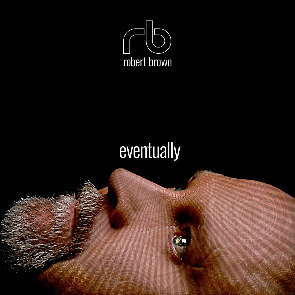 Robert Brown - Blush Response (Original Mix)