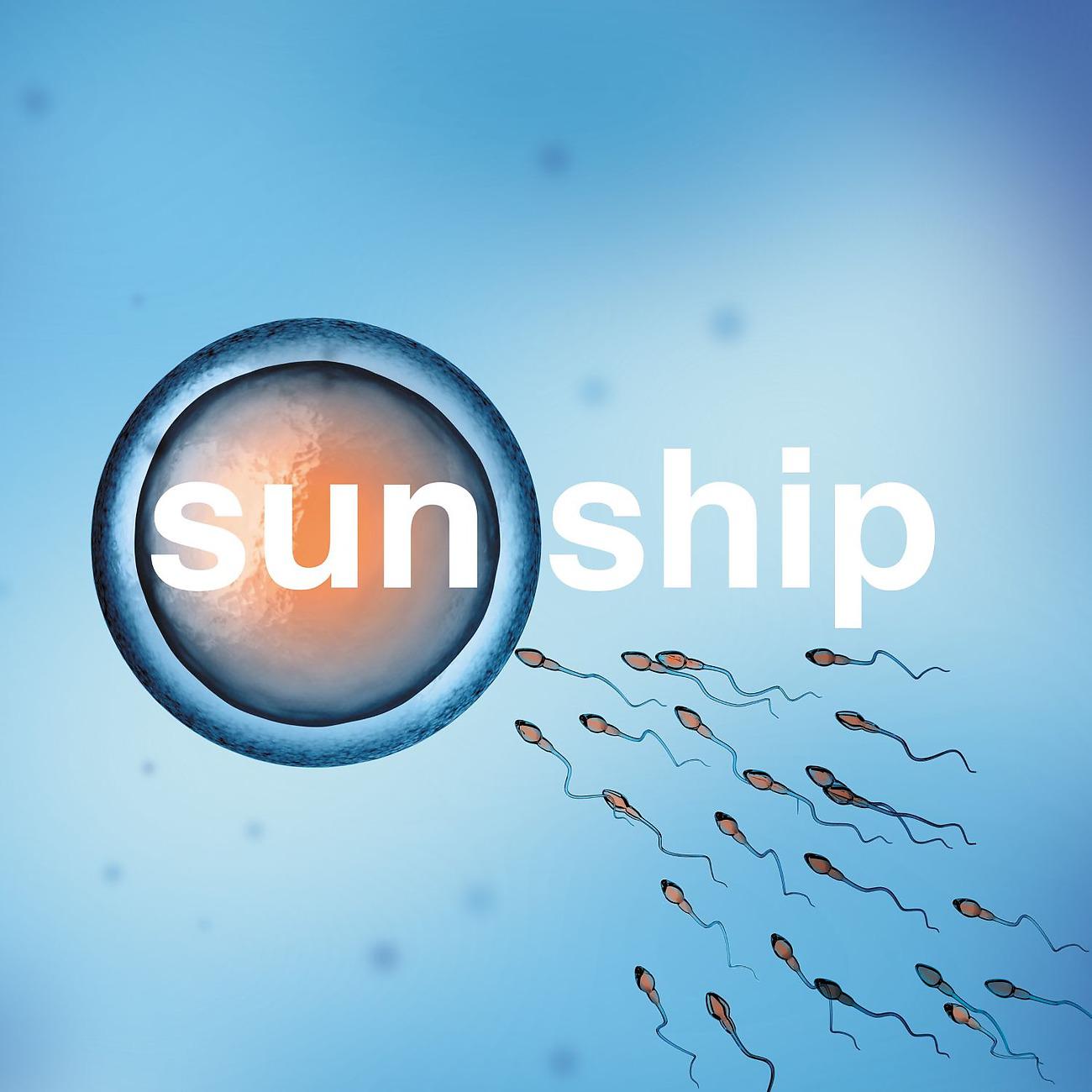 Постер альбома The Sun Ship