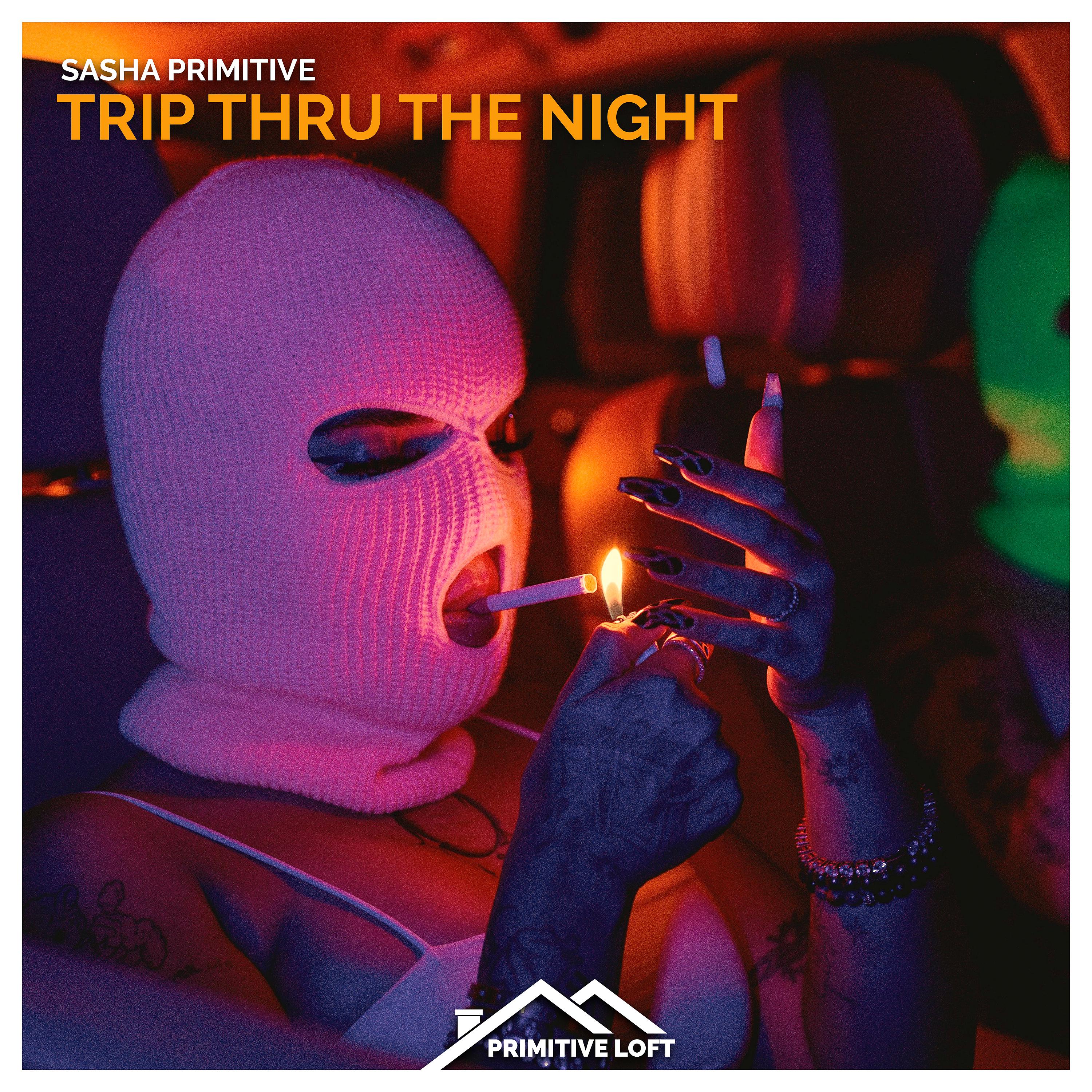 Постер альбома Trip Thru the Night