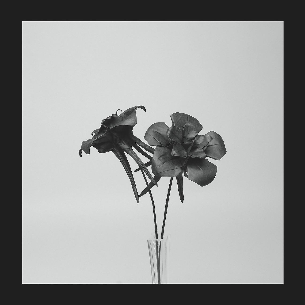Постер альбома Dark Lotus