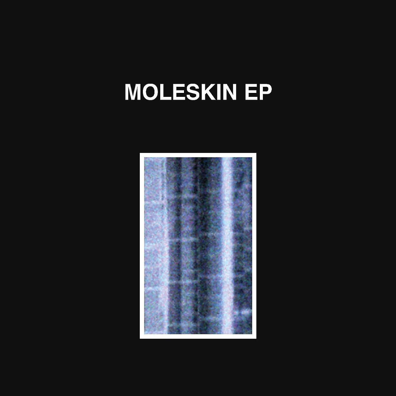 Постер альбома Moleskin