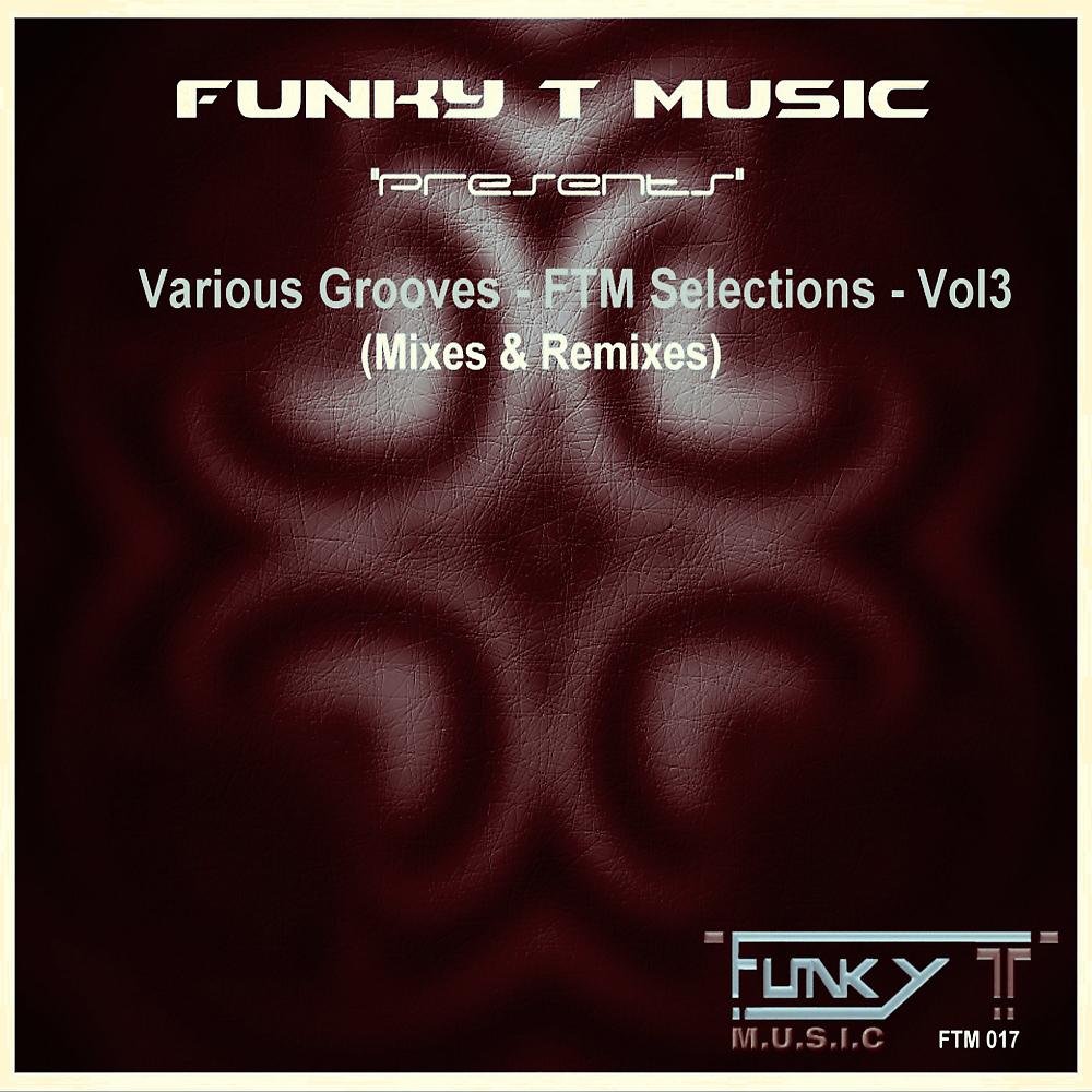 Постер альбома Various Grooves: FTM Selections, Vol. 3 (Mixes & Remixes)