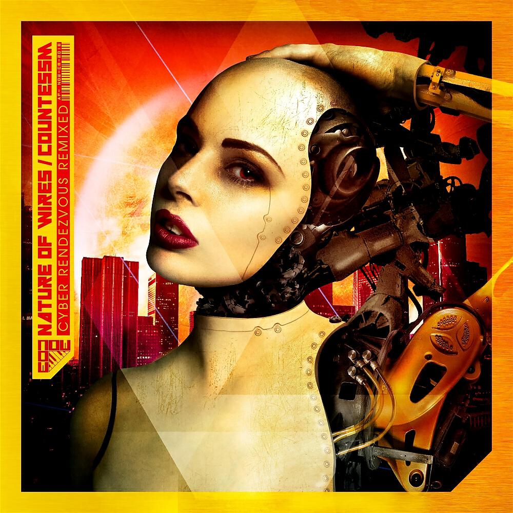 Nature of Wires - Cyber Rendezvous (Ruinizer Remix)