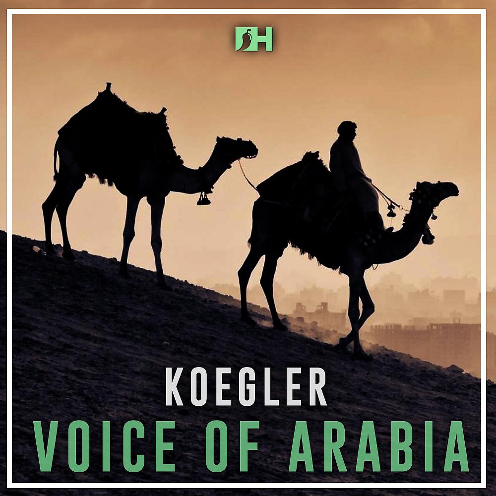 Постер альбома Voice of Arabia