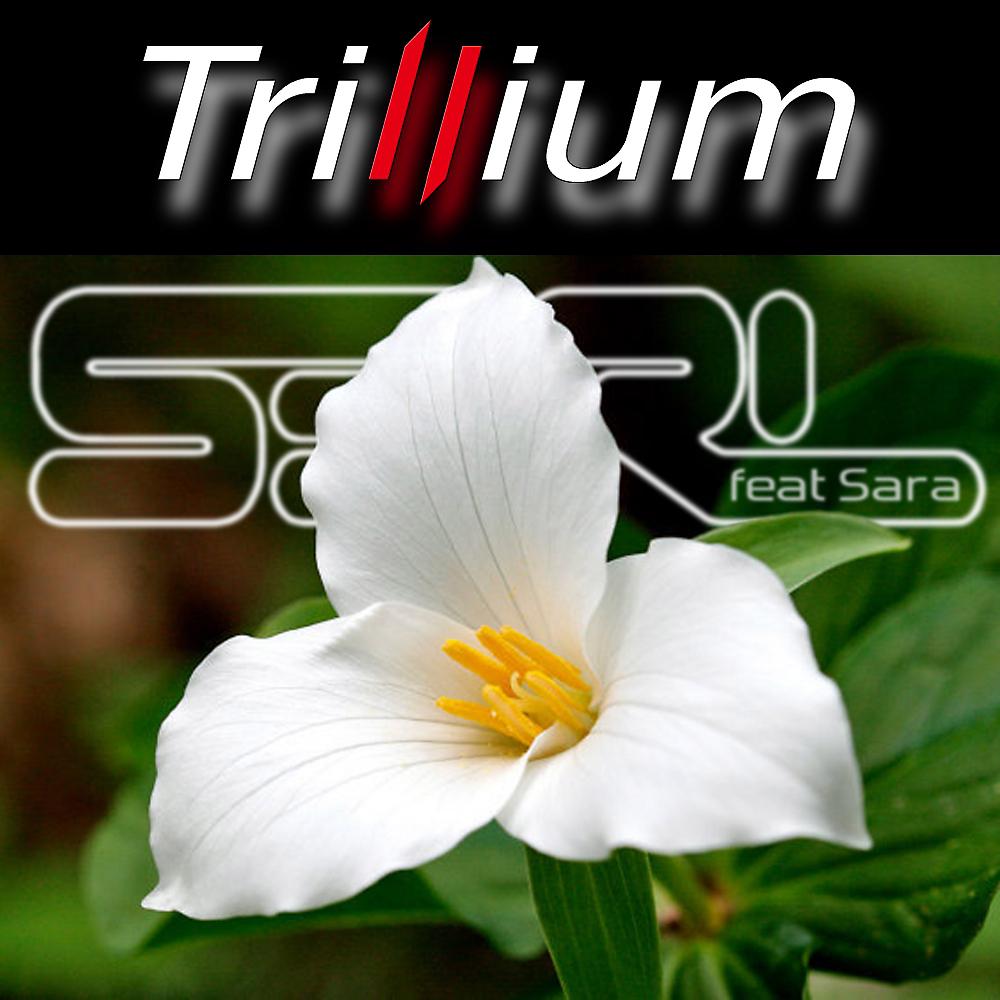 Постер альбома Trillium