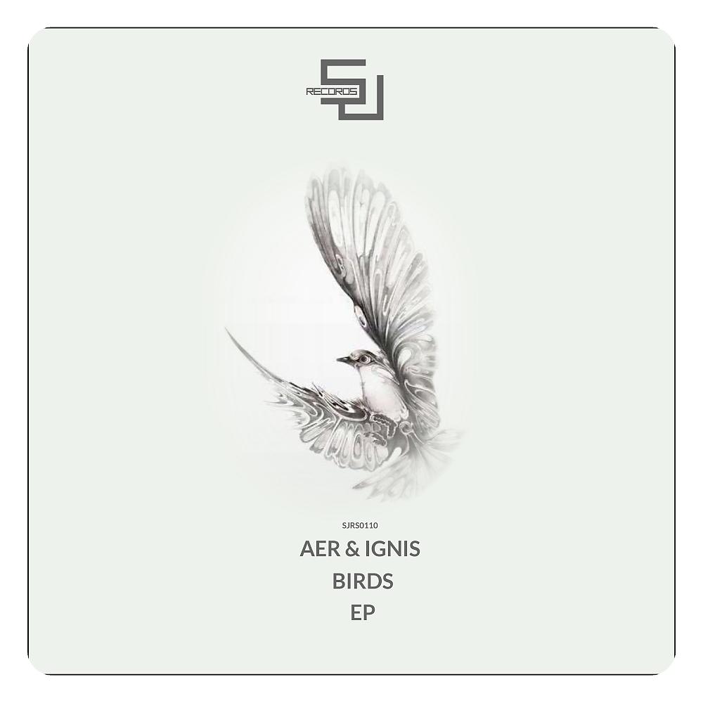Постер альбома Birds EP