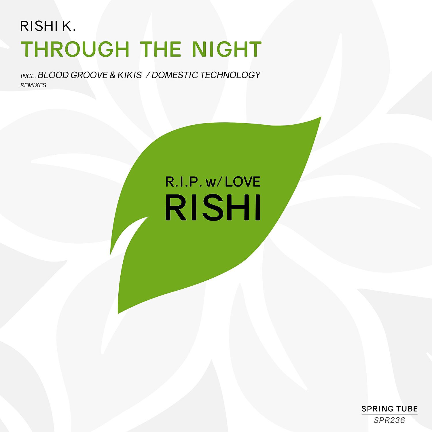 Rishi K. - Through the Night (Domestic Technology Remix)