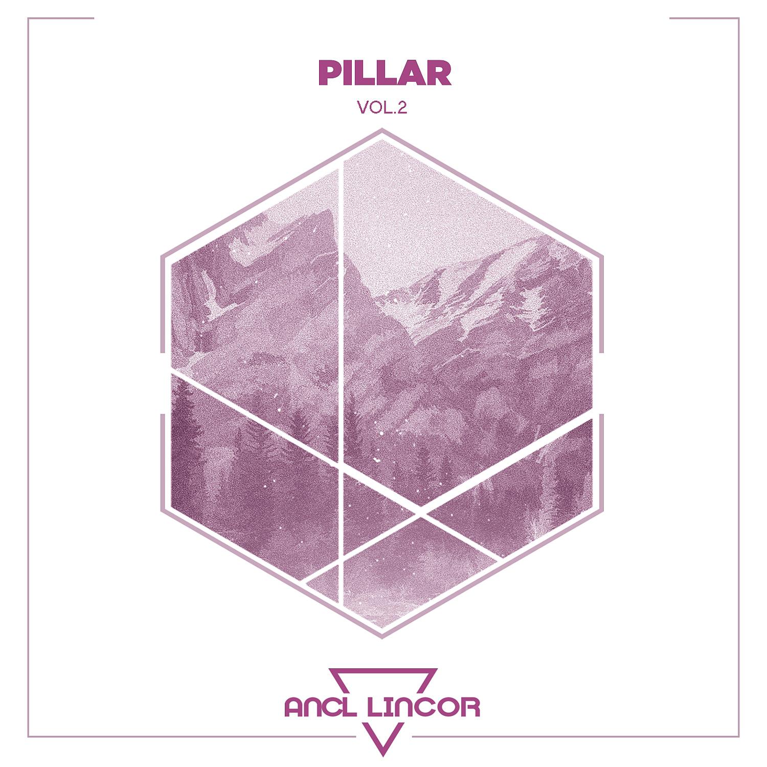 Постер альбома Pillar ; Vol.2