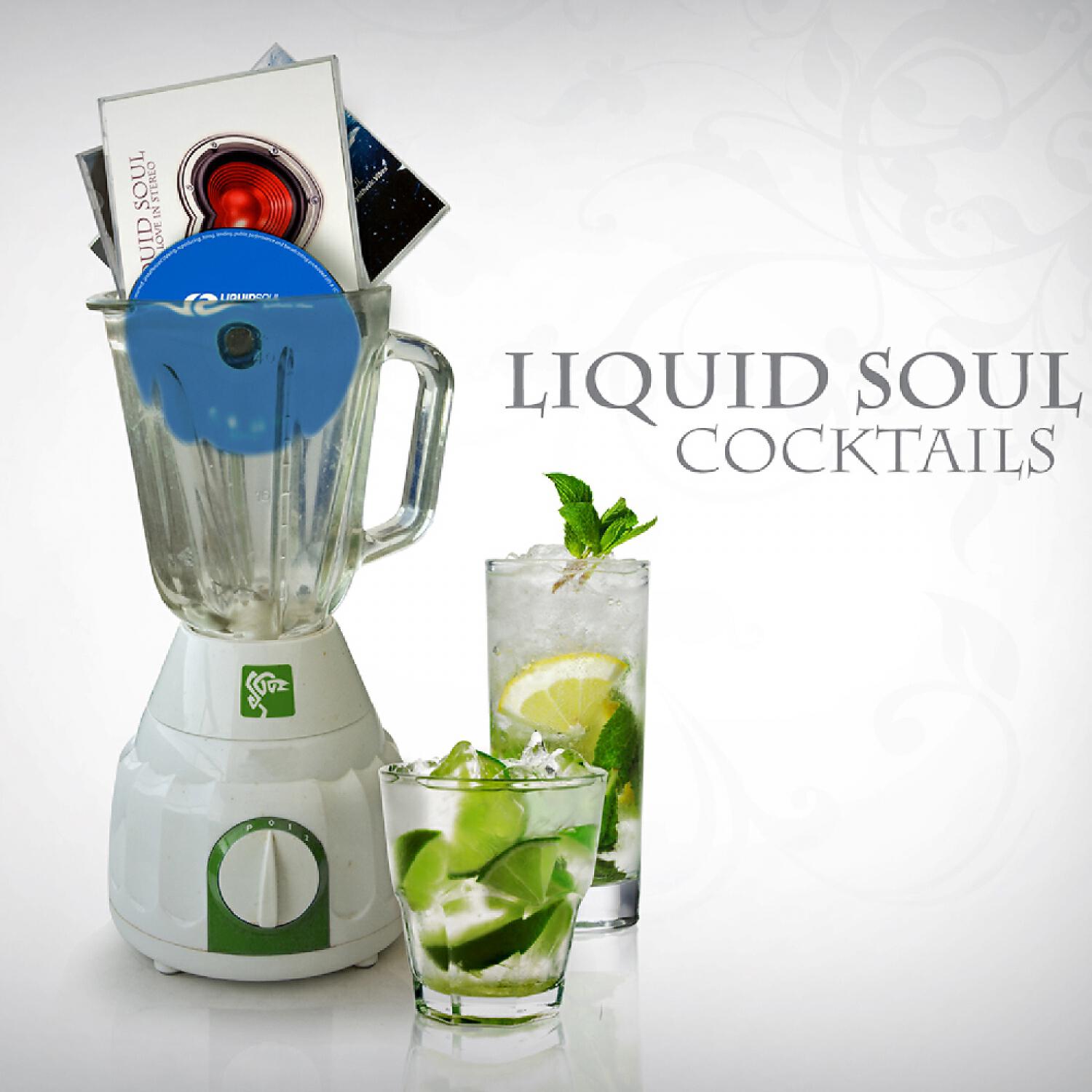 Liquid Soul - Devotion (Protoculture Remix)