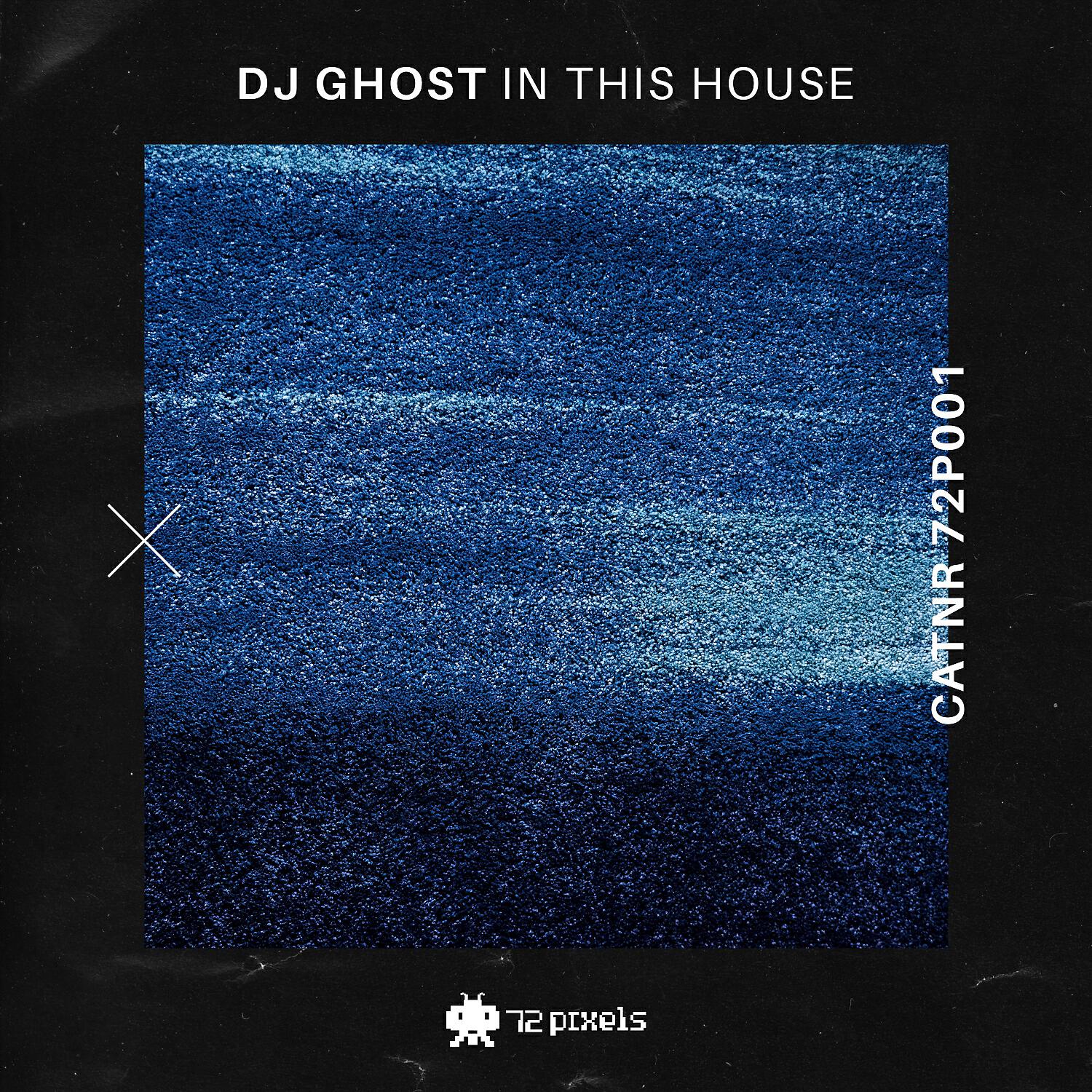 DJ Ghost - In This House