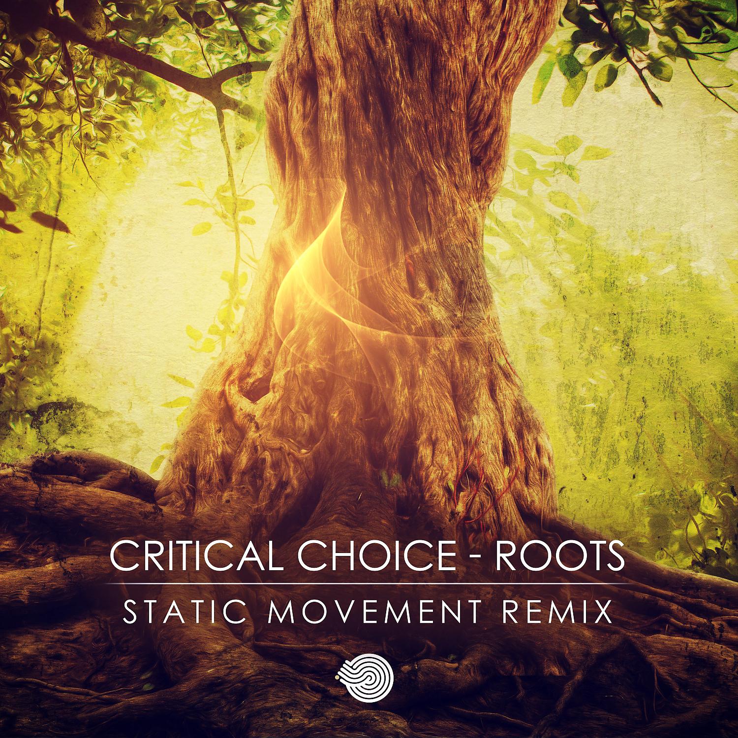 Постер альбома Roots (Static Movement Remix)