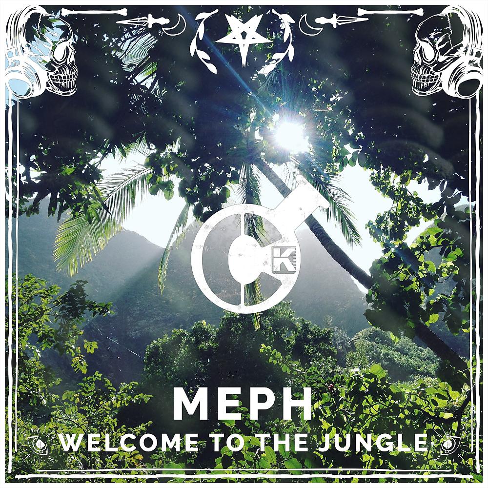 Постер альбома Welcome To The Jungle