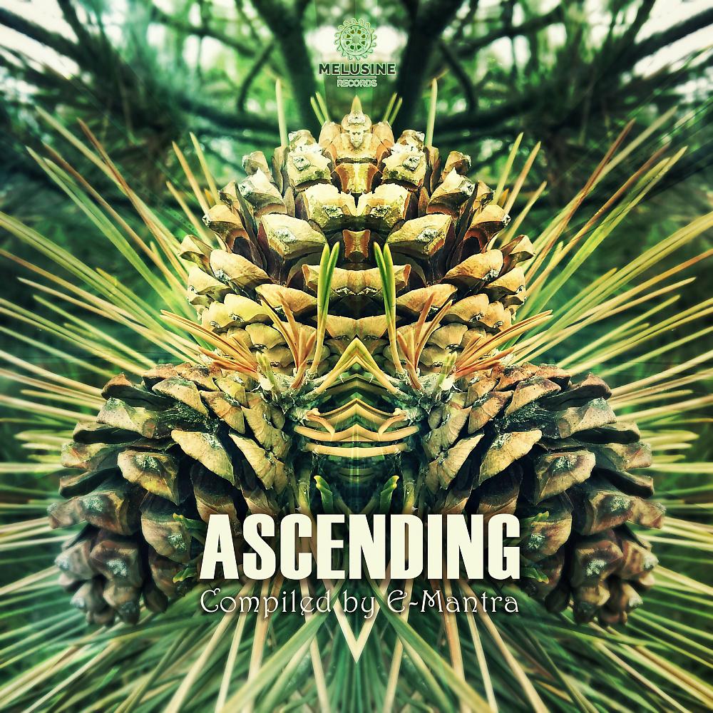 Постер альбома Ascending