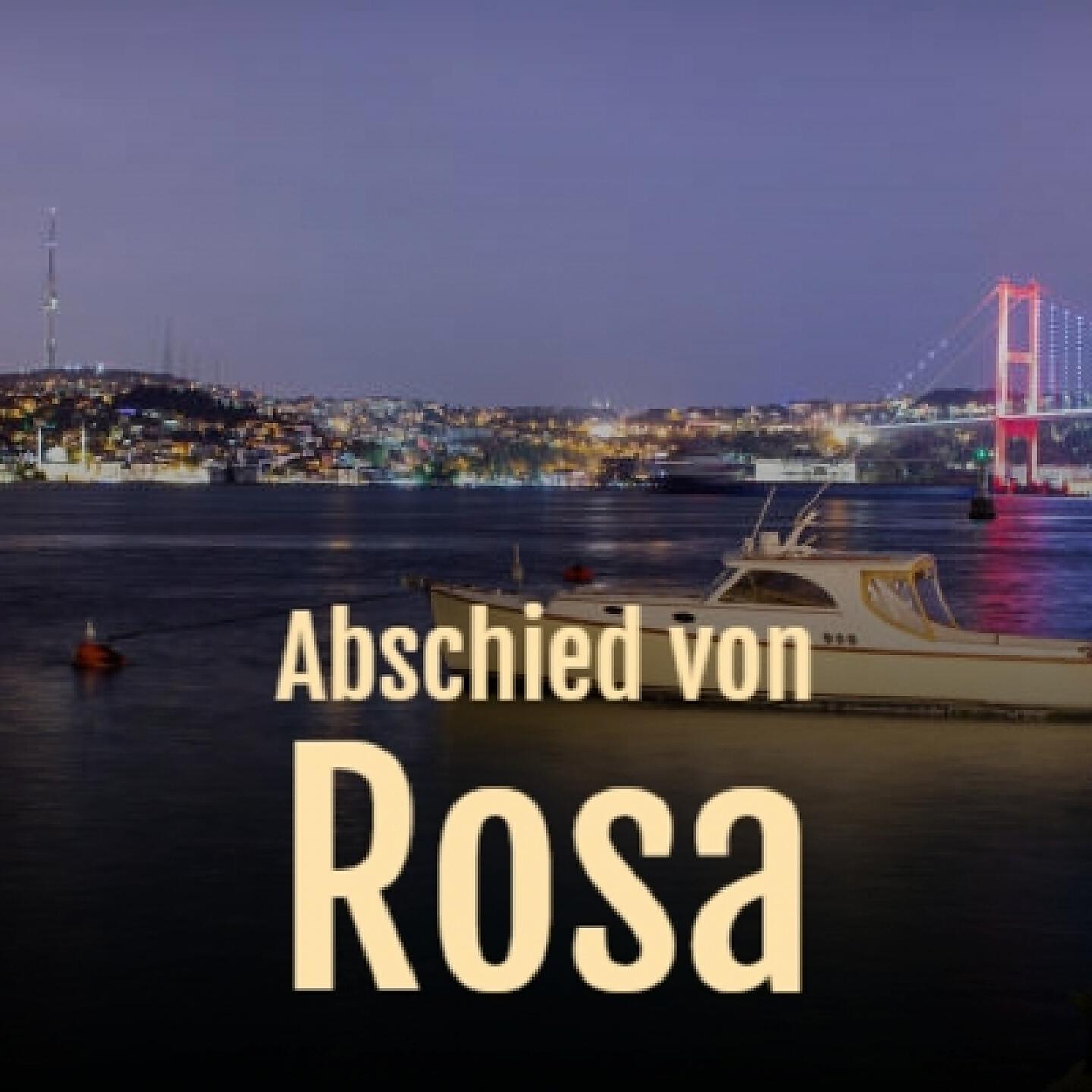 MARTIN BÖTTCHER - Abschied Von Rosa