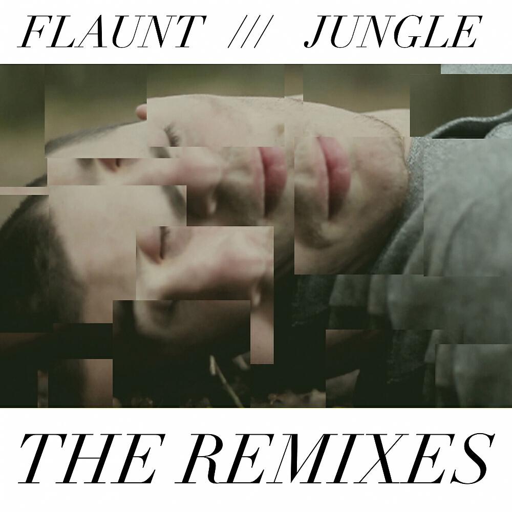 Flaunt - Jungle (Noel Sanger Deep Mix)