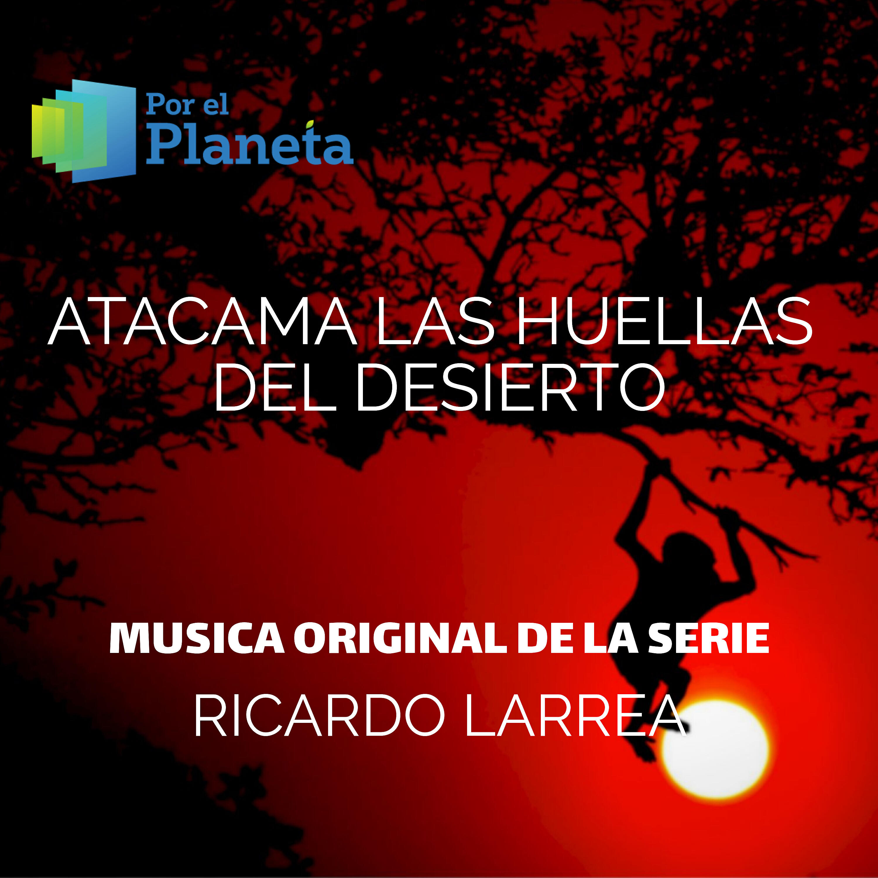 Ricardo Larrea - Desierto de Atacama