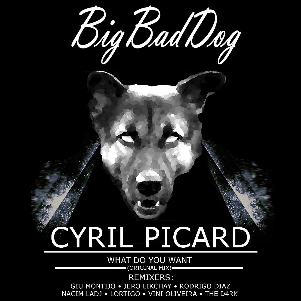Cyril Picard - What Do You Want (Rodrigo Diaz Remix)