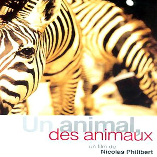 Постер альбома Un animal des animaux