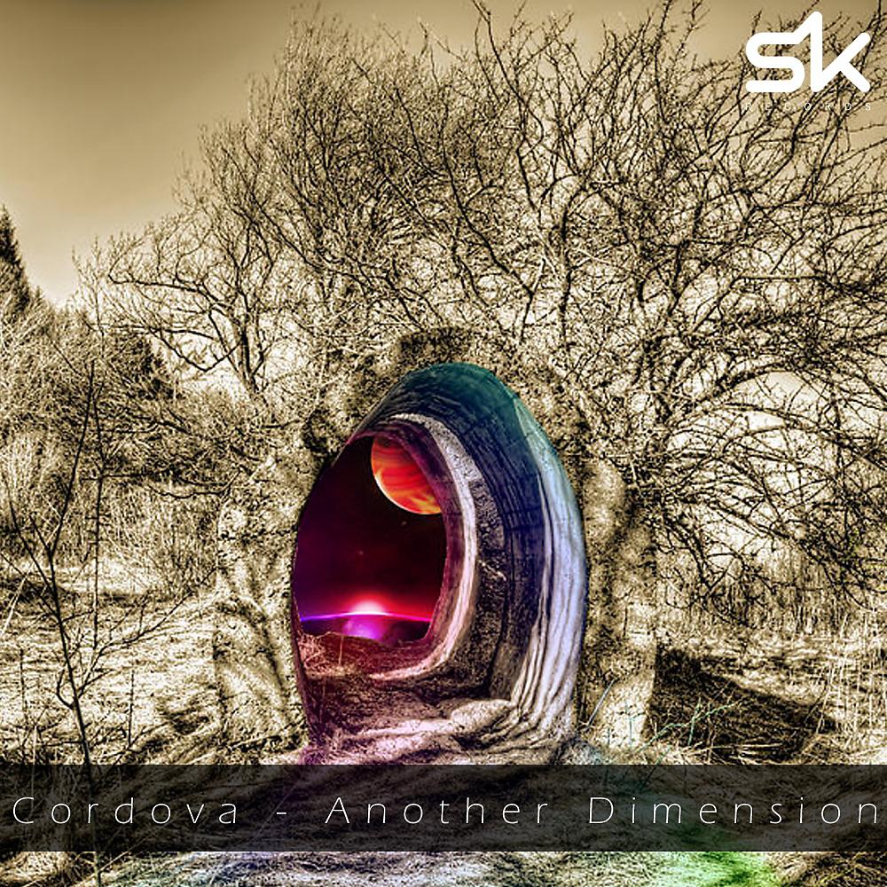 Постер альбома Another Dimension