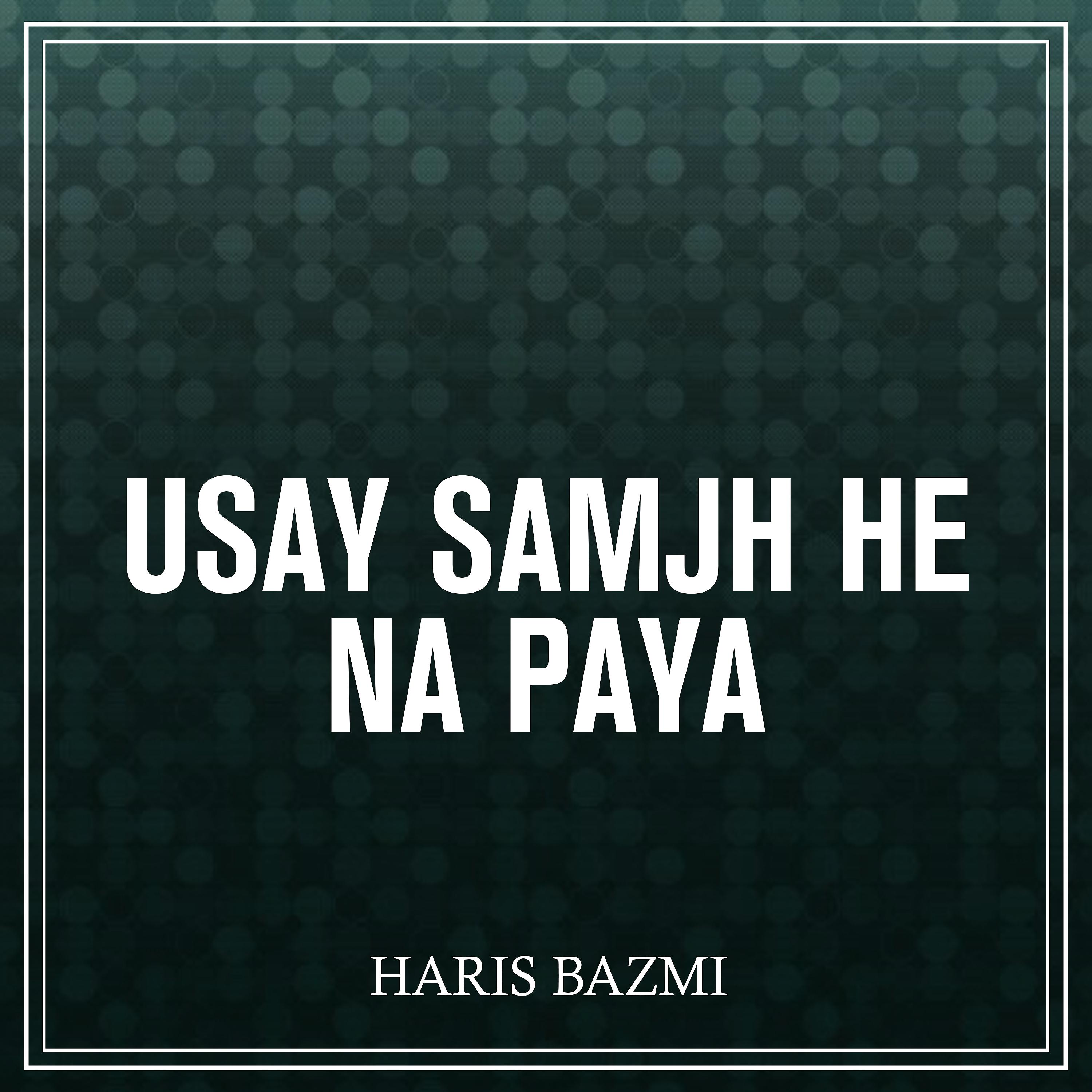 Постер альбома Usay Samjh He Na Paya