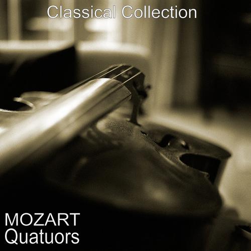 Постер альбома Mozart : Quatuors
