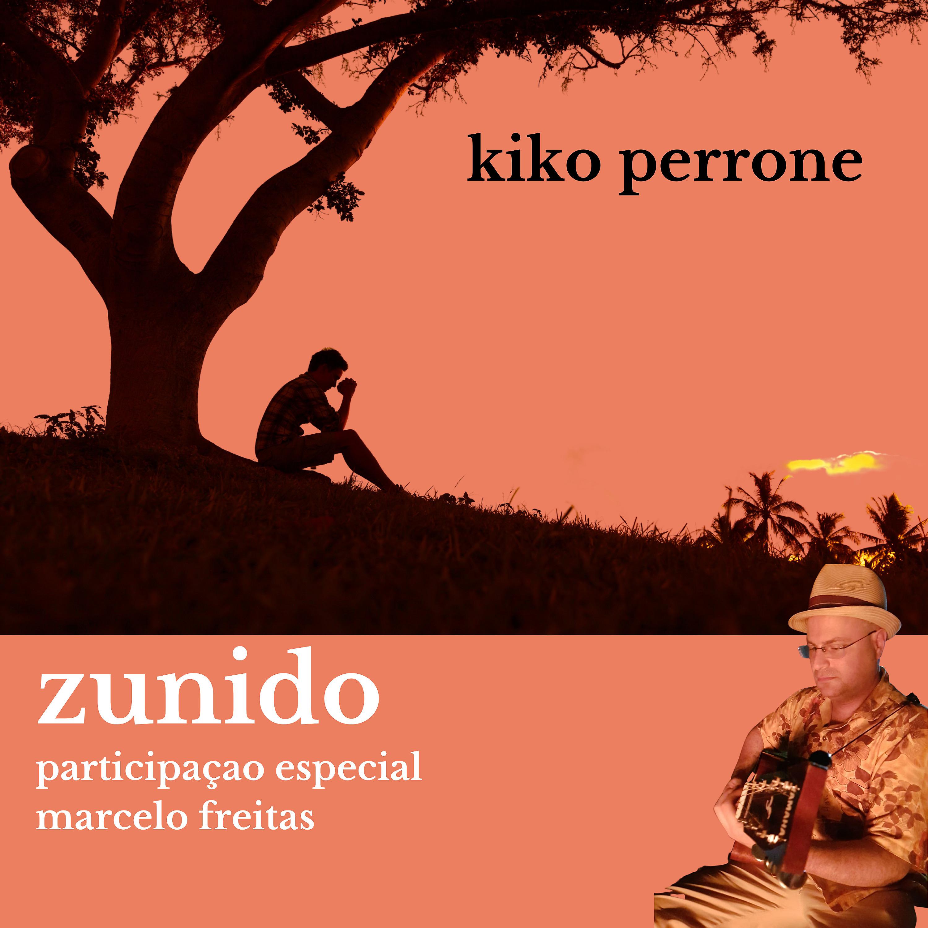 Постер альбома Zunido
