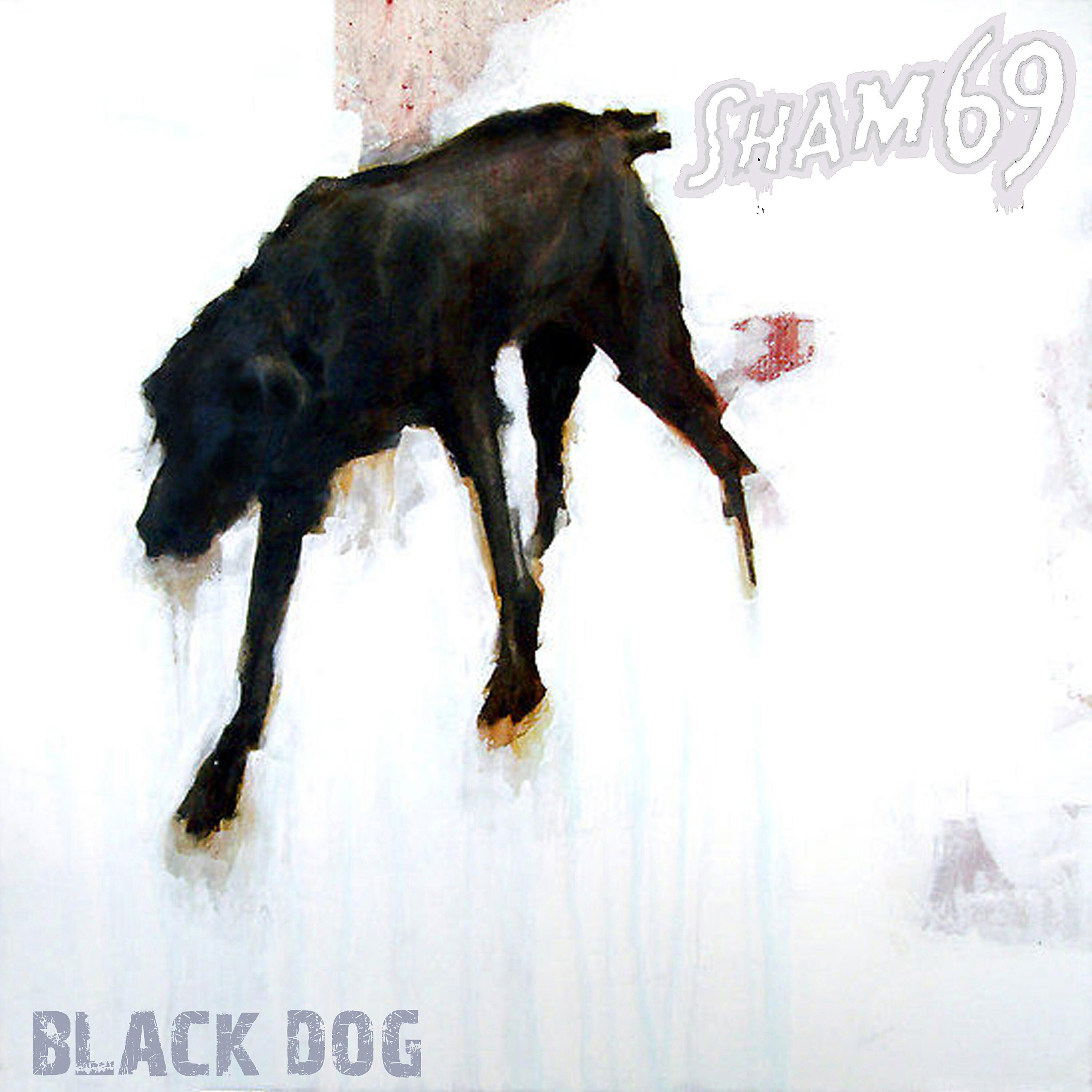 Постер альбома Black Dog