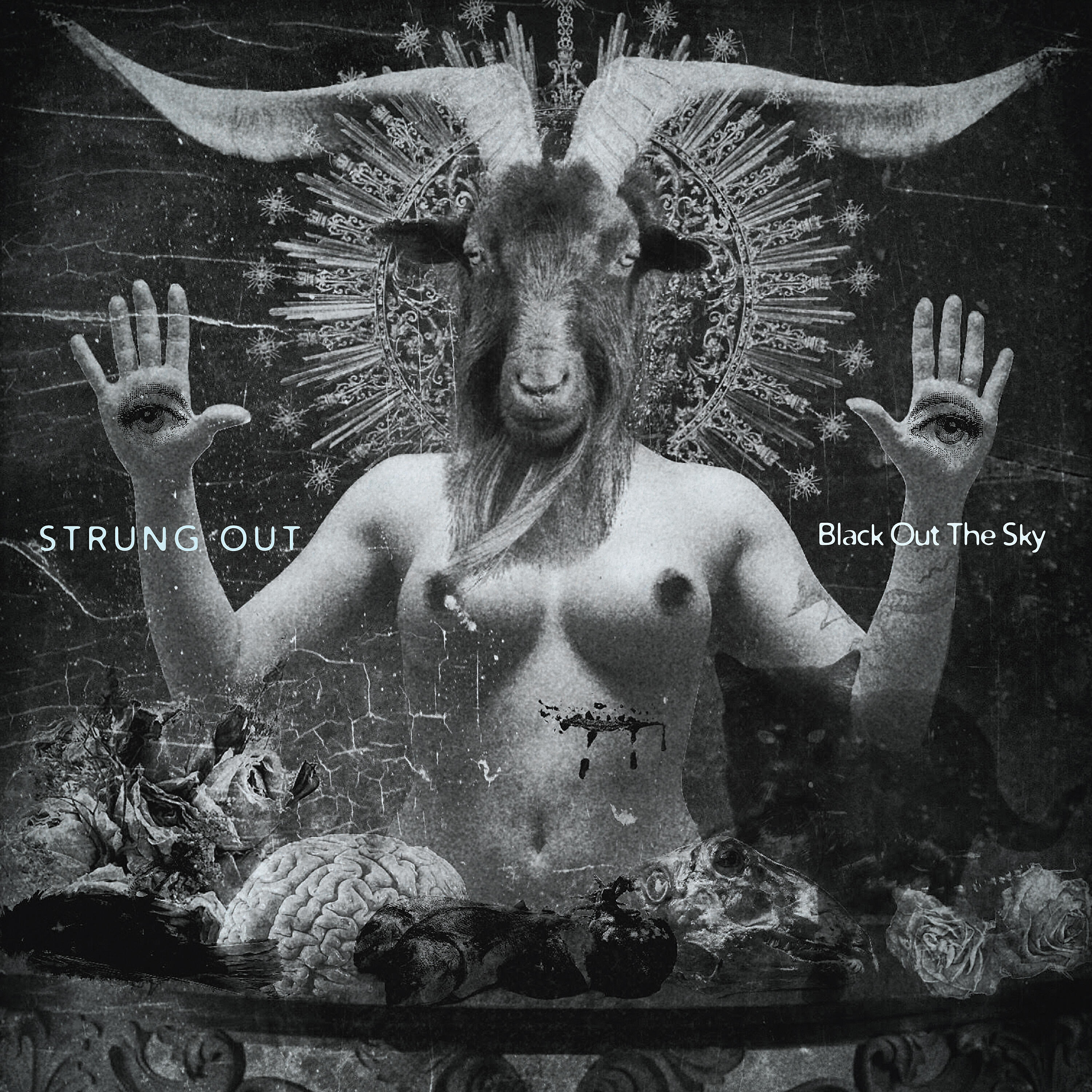 Strung Out - Presidio