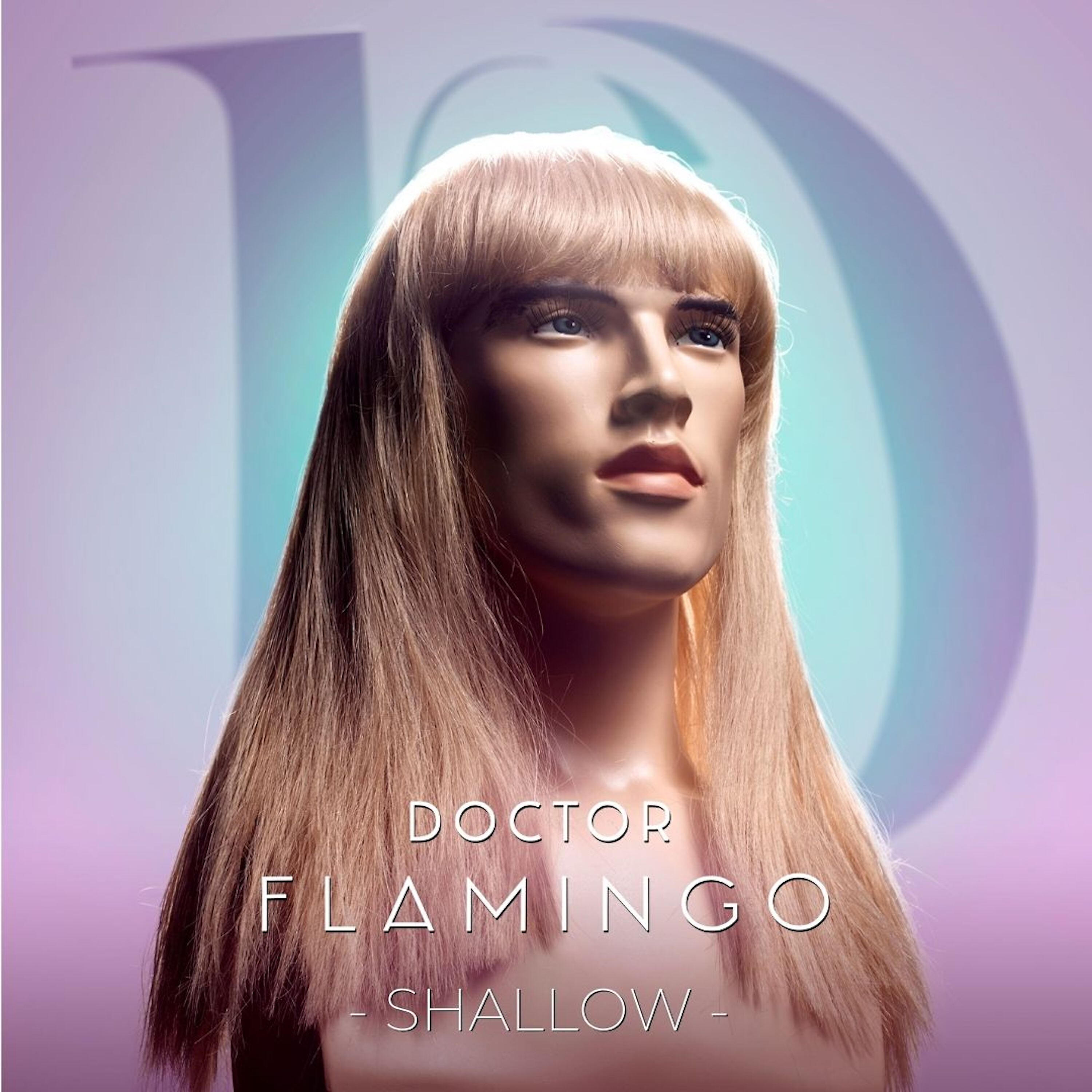 Doctor Flamingo - Shallow (Mad Mucho Flamenco Remix)