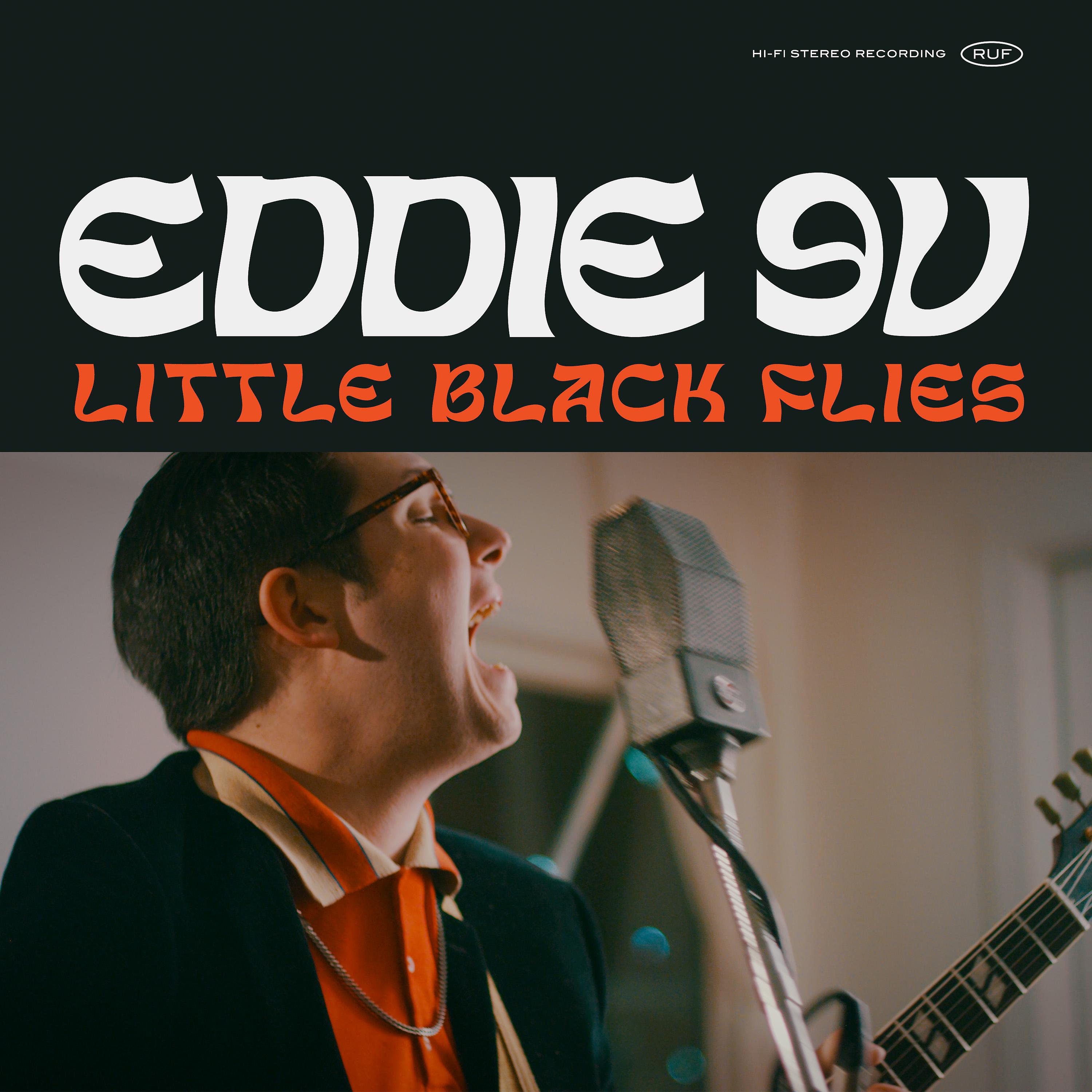 Постер альбома Little Black Flies