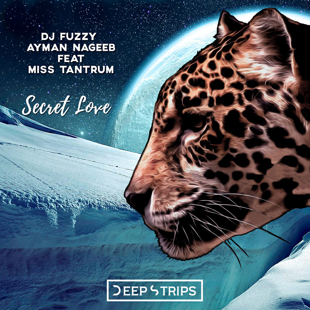 DJ Fuzzy - Secret Love