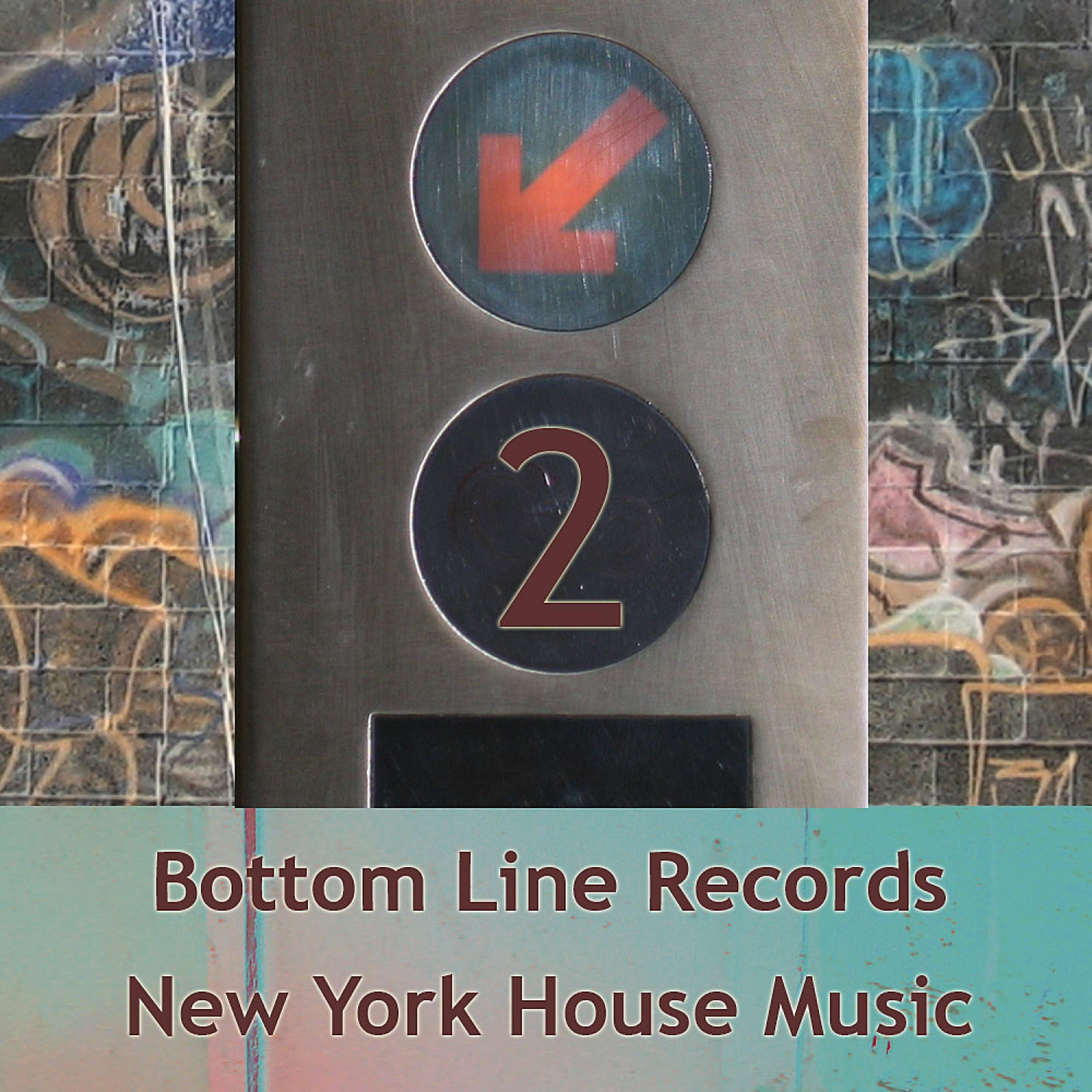 Постер альбома New York House Music Vol.2