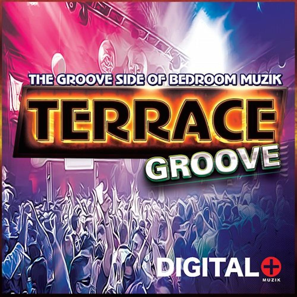 Постер альбома The Groove Side Of Bedroom Terrace Groove