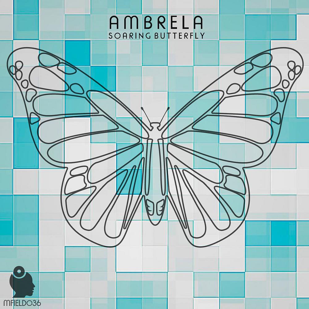Постер альбома Soaring Butterfly