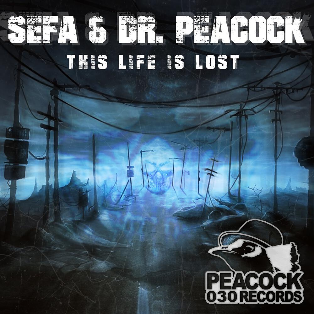 Sefa - FFS