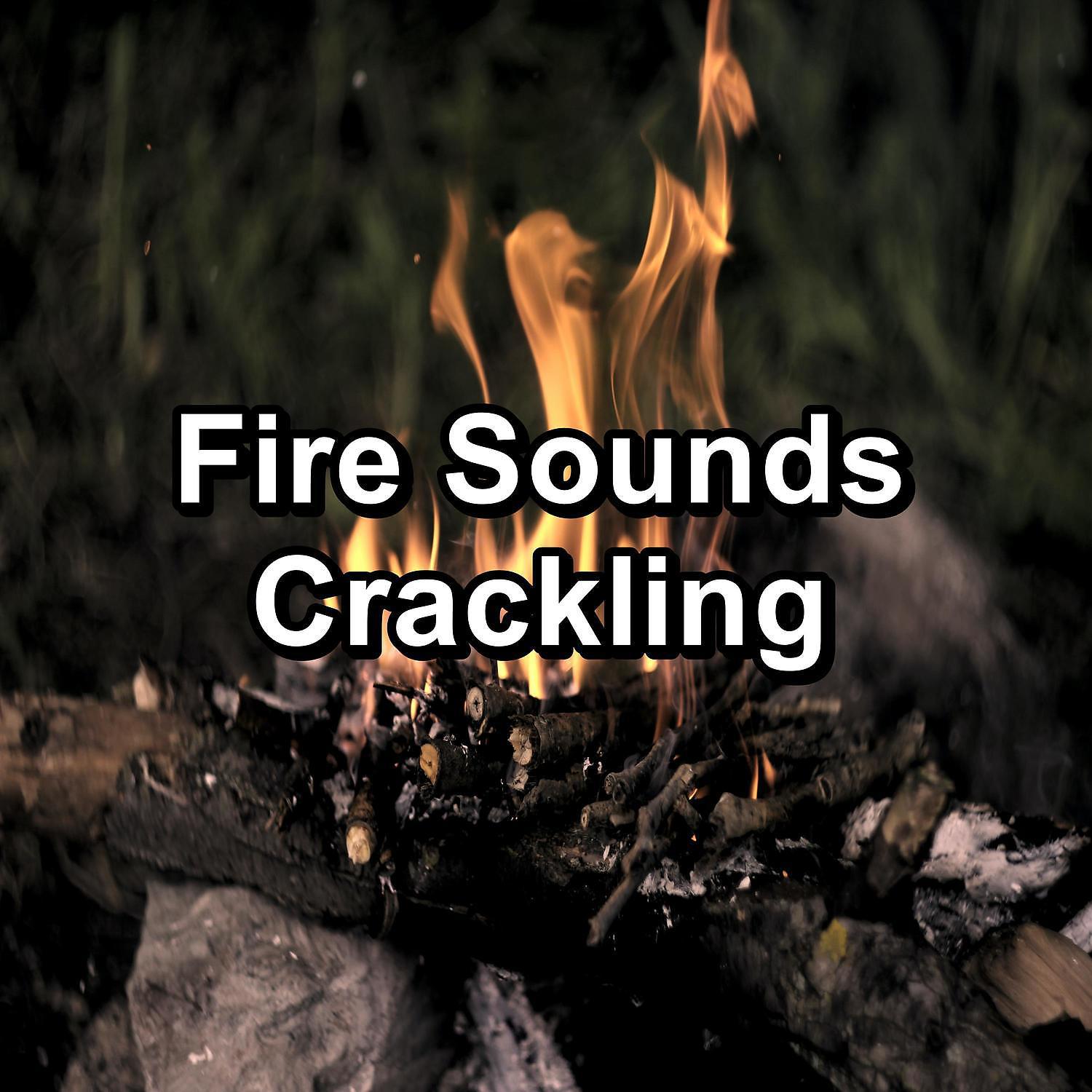 Постер альбома Fire Sounds Crackling