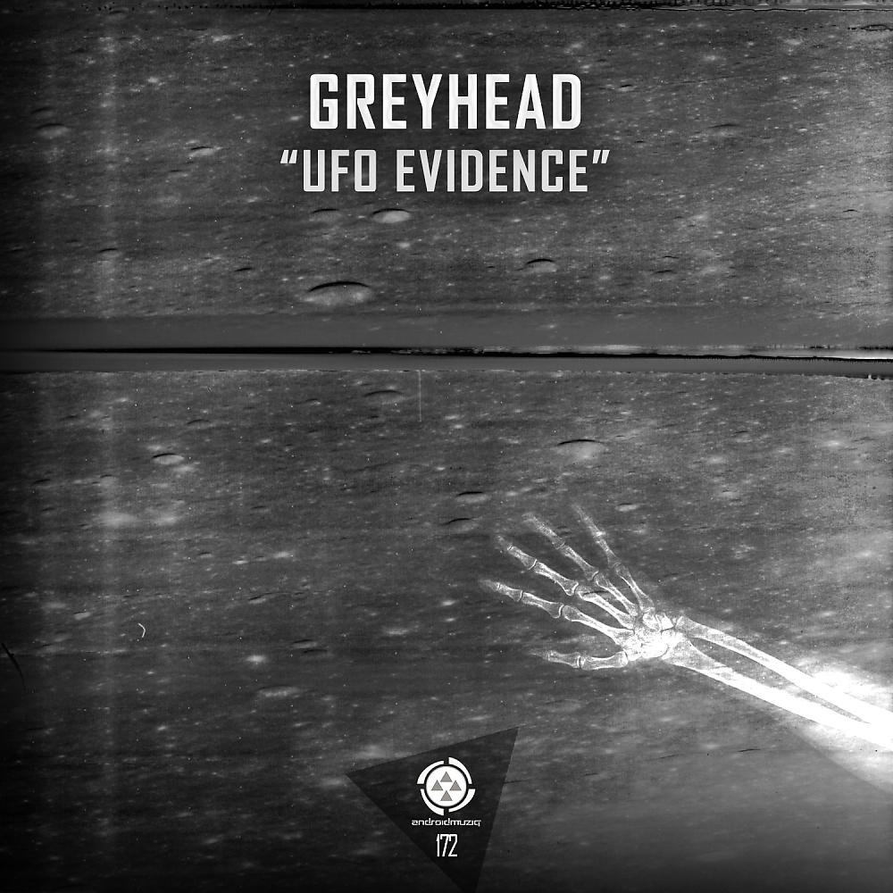 Постер альбома UFO Evidence